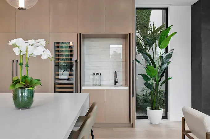 Modern kitchen with light wood cabinets, white countertop, and potted plant, beside a tall indoor plant.