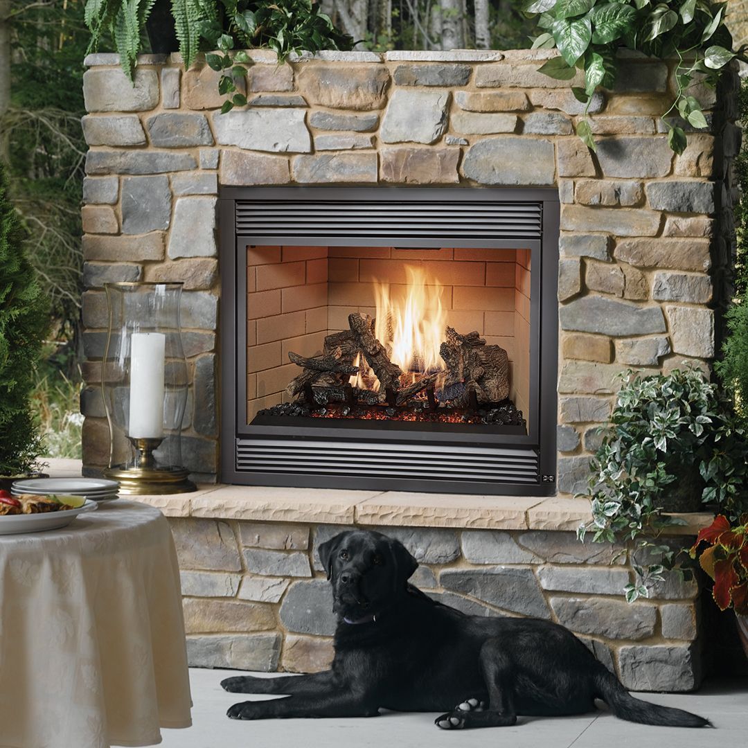 Black dog lying in front of a stone fireplace with fire burning; plants and a table with candle.