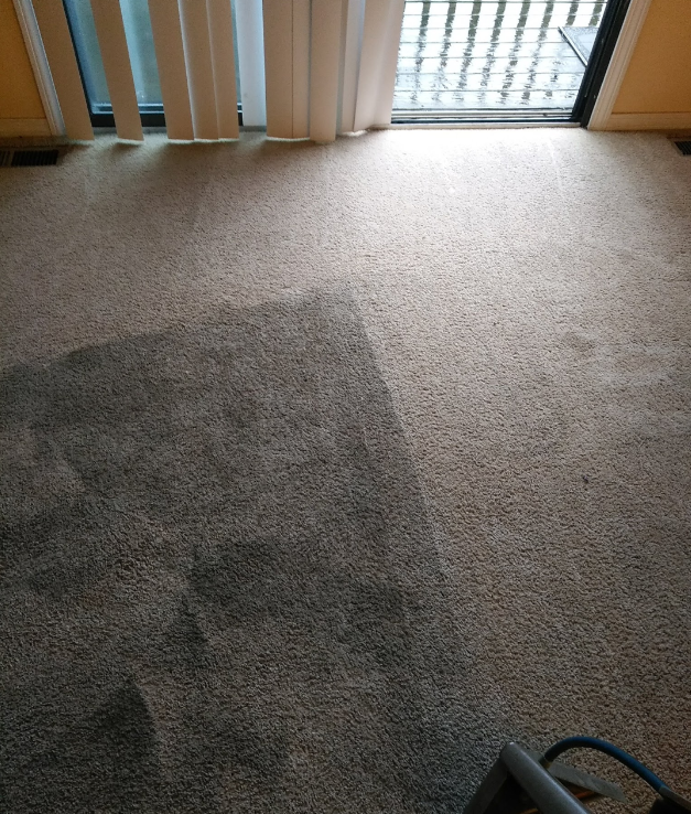 Carpet cleaning