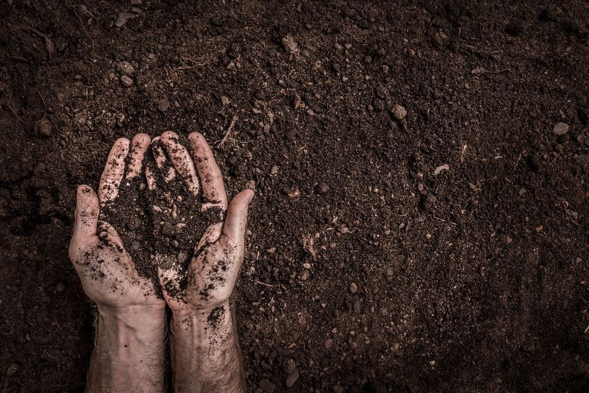 A person is holding a pile of dirt in their hands.