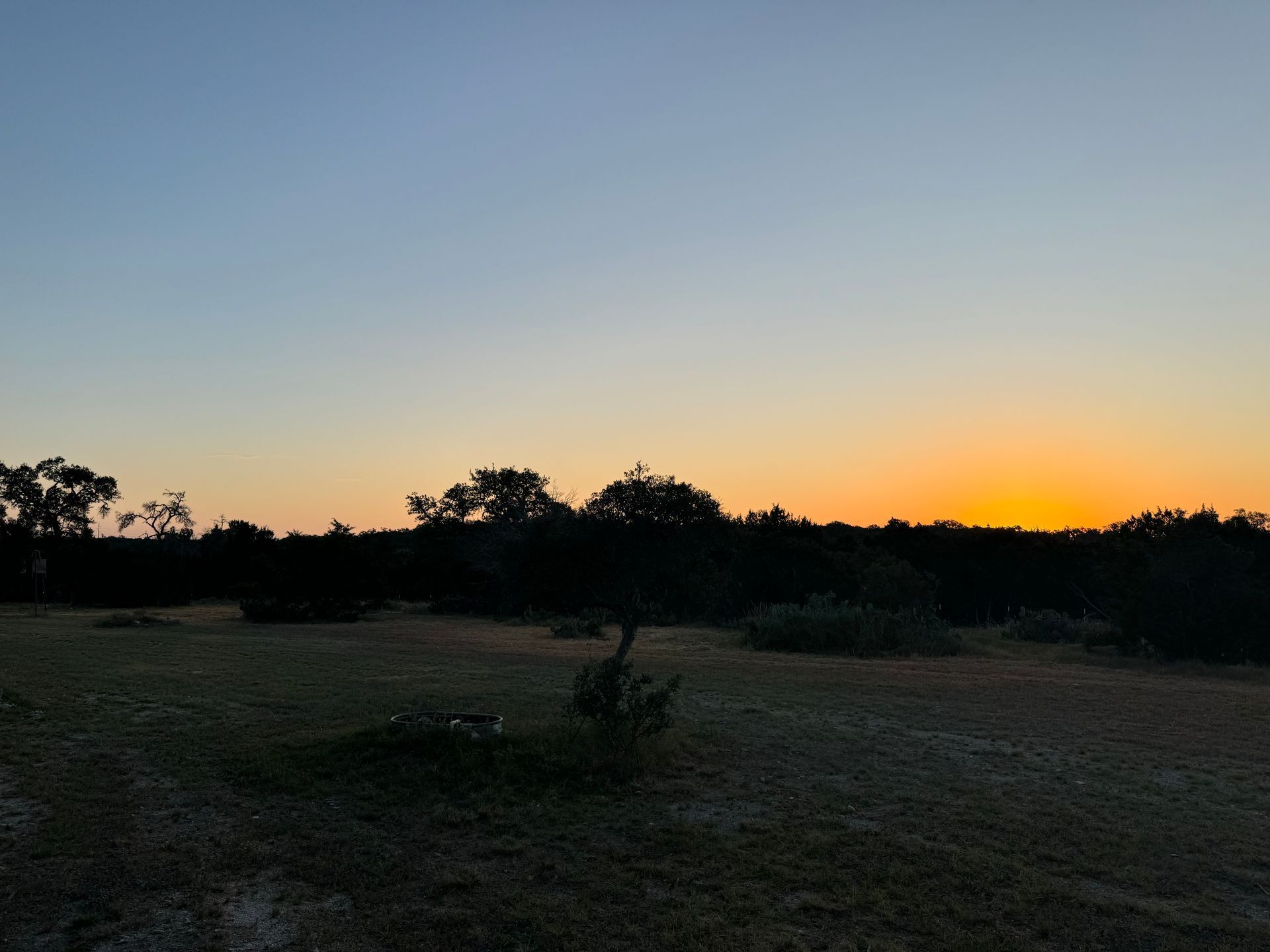 A sunset over a field with trees in the foreground and a blue sky in the background.