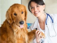Happy doctor with a dog