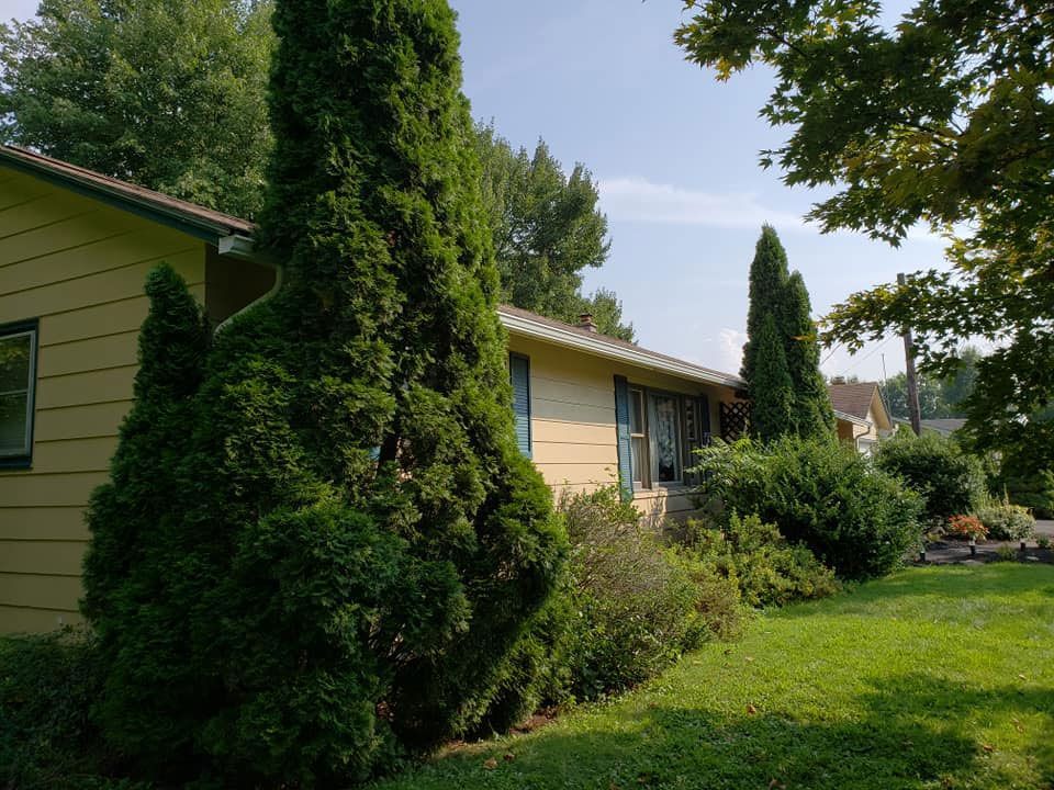 A house with a lot of trees in front of it