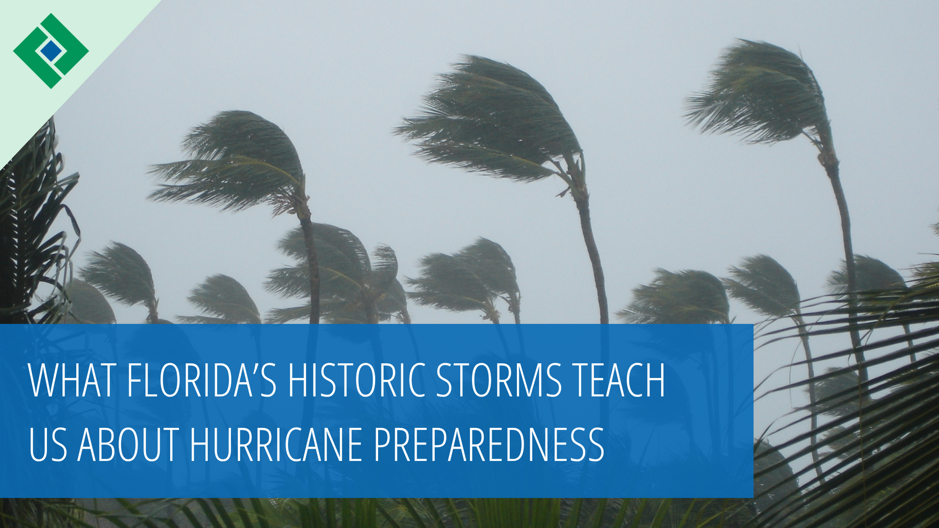 Blue banner over palm trees in storm, titled “What Florida’s Historic Storms Teach Us About Hurricane Preparedness”