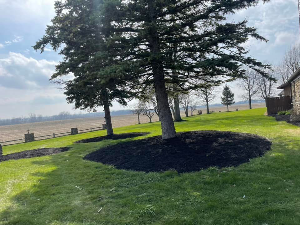 Lush green lawn with two trees encircled by black mulch. A field and partly cloudy sky are in the background.