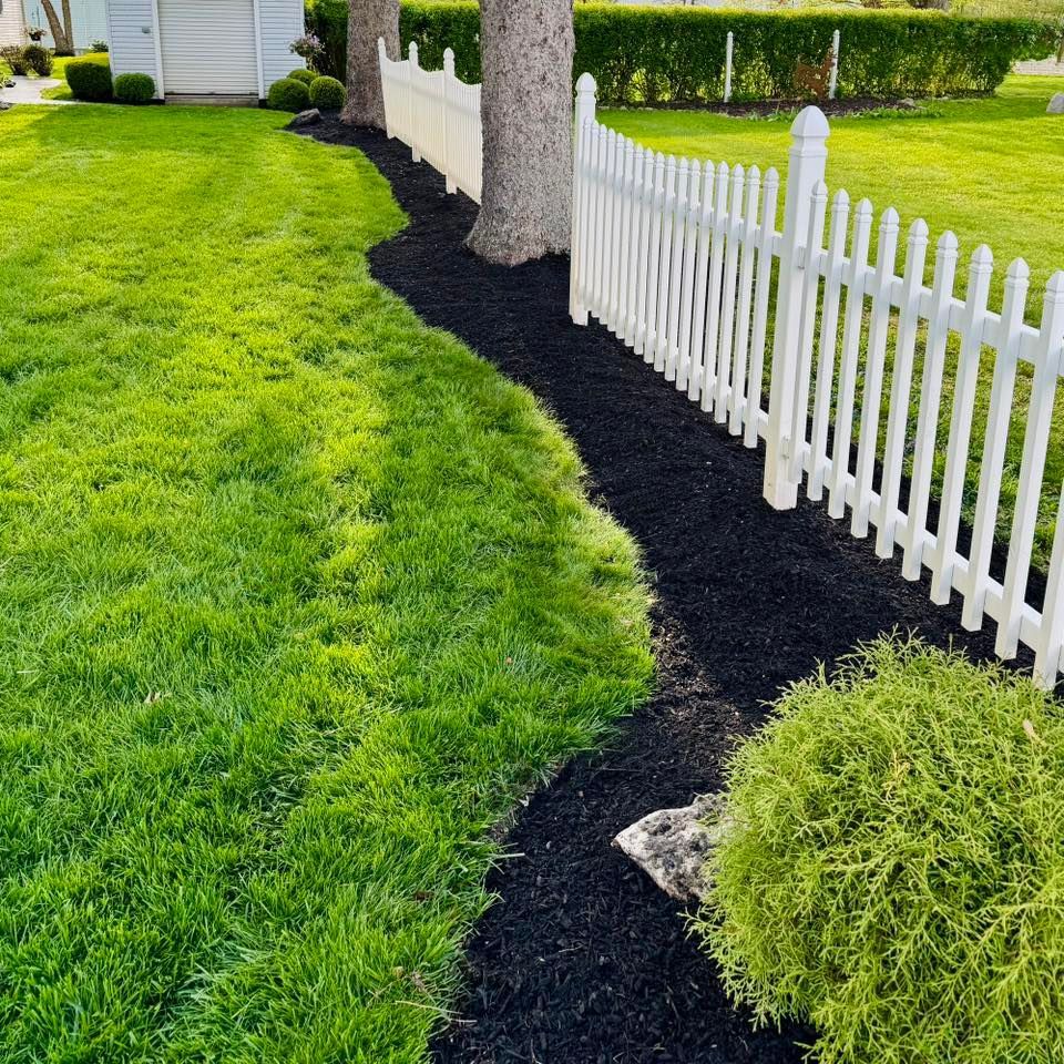 A well-manicured lawn with dark mulch bordering a white picket fence and a small, round green bush.