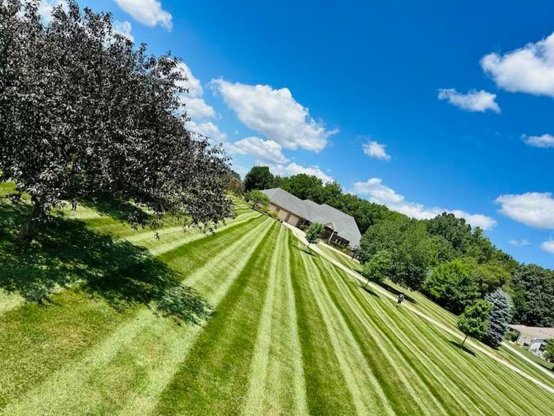 Lawn with striped mowing pattern slopes down towards a house under a blue sky with fluffy white clouds.