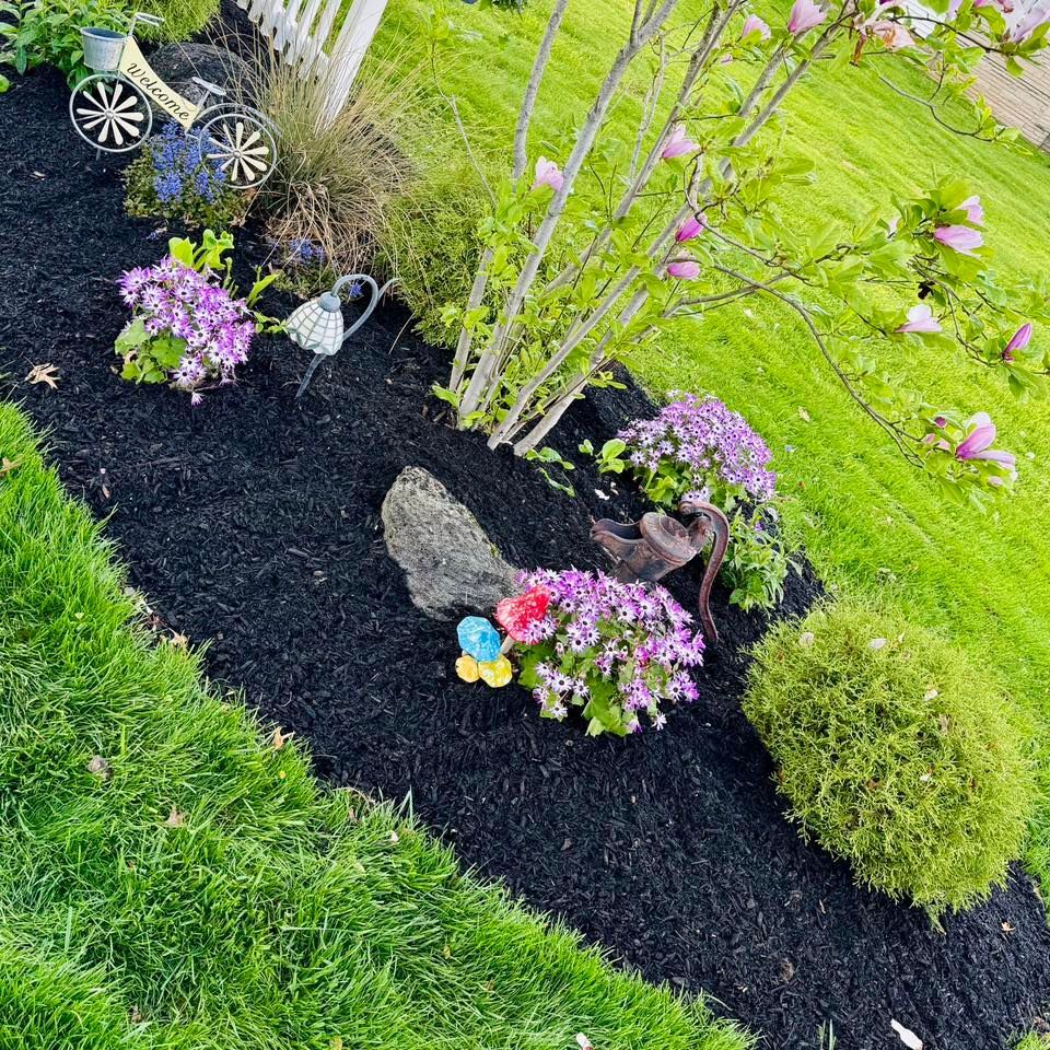 A flowerbed with black mulch and green grass surrounds plants, including purple flowers and a magnolia tree with pink blooms. Decorative garden elements are present.