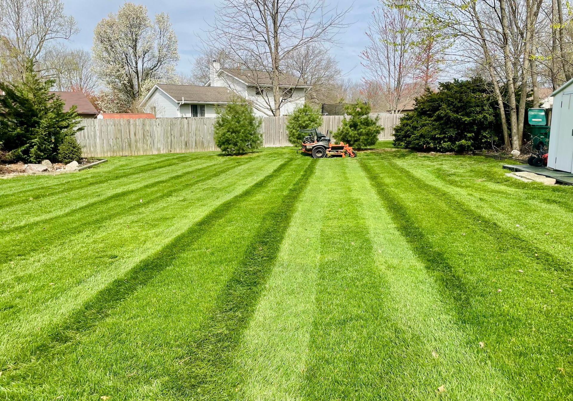 Green lawn with alternating light and dark stripes, freshly mowed. A riding lawnmower is visible in the distance, with houses and trees in the background.