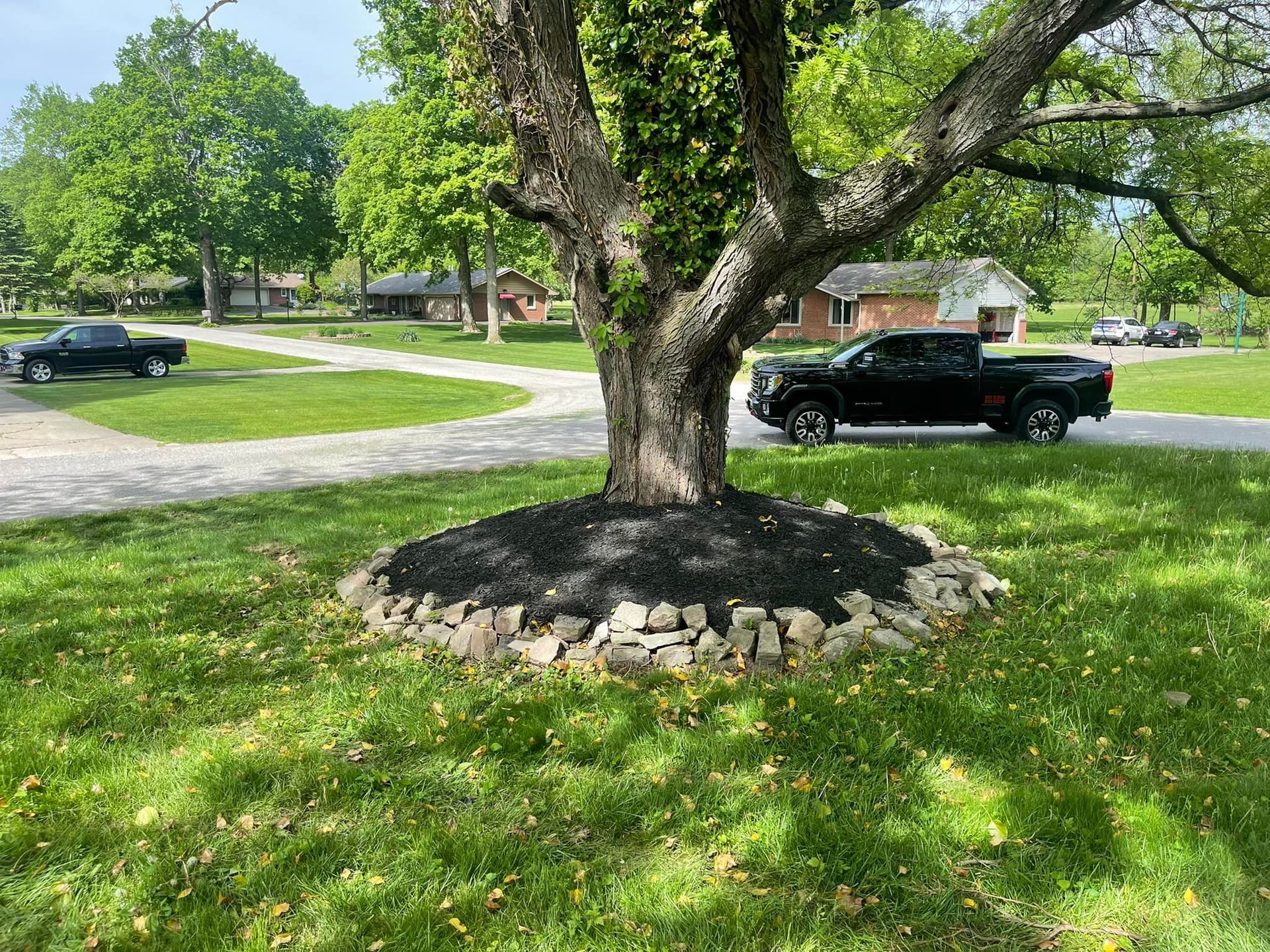 A tree with black mulch and a stone border on a grassy lawn. Two black pickup trucks parked nearby.