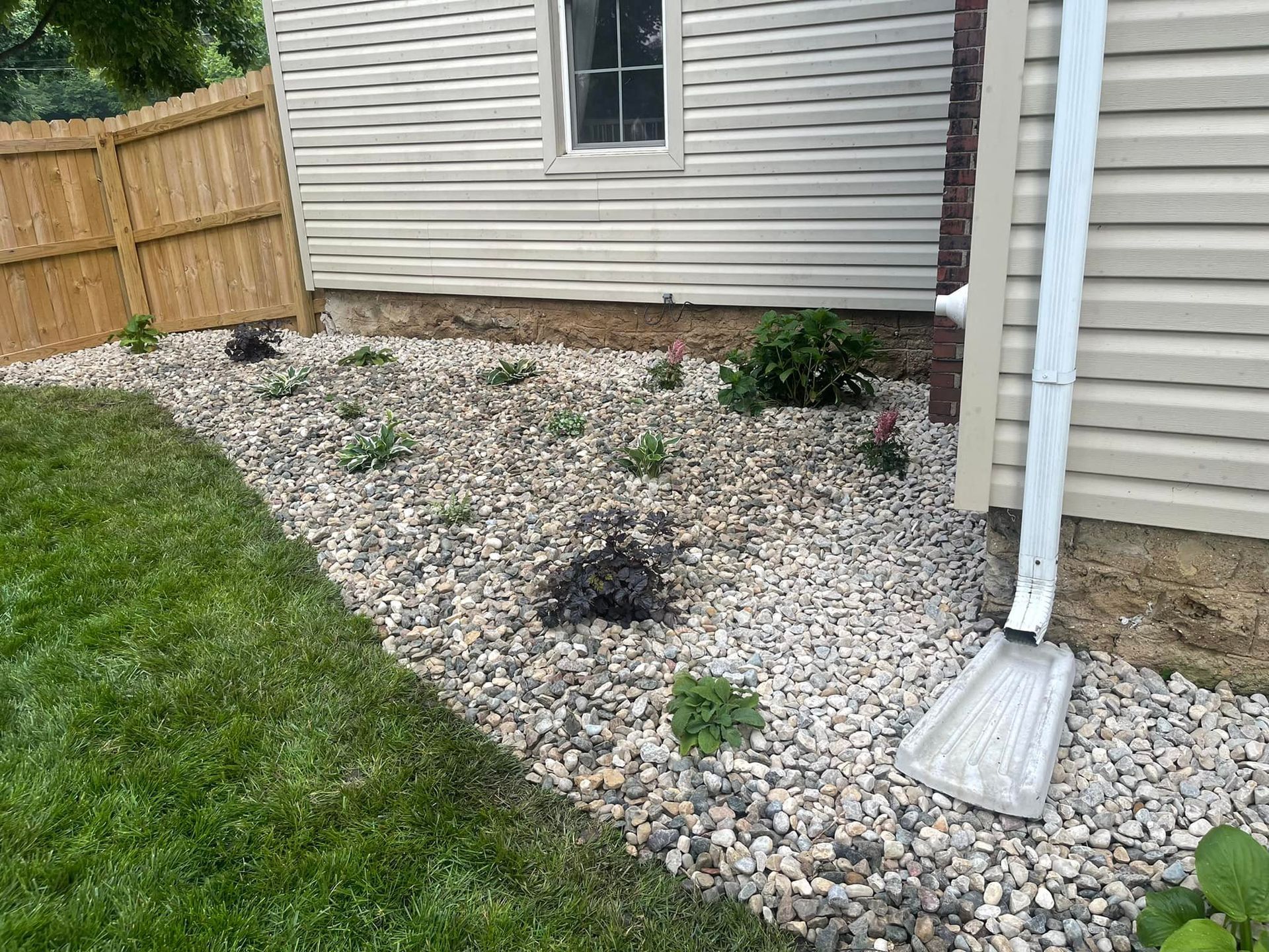 Gravel landscaping bed with various plants and a downspout next to a light tan siding house. A fence borders the left side.