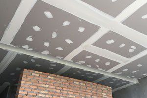Plaster Ceiling Work