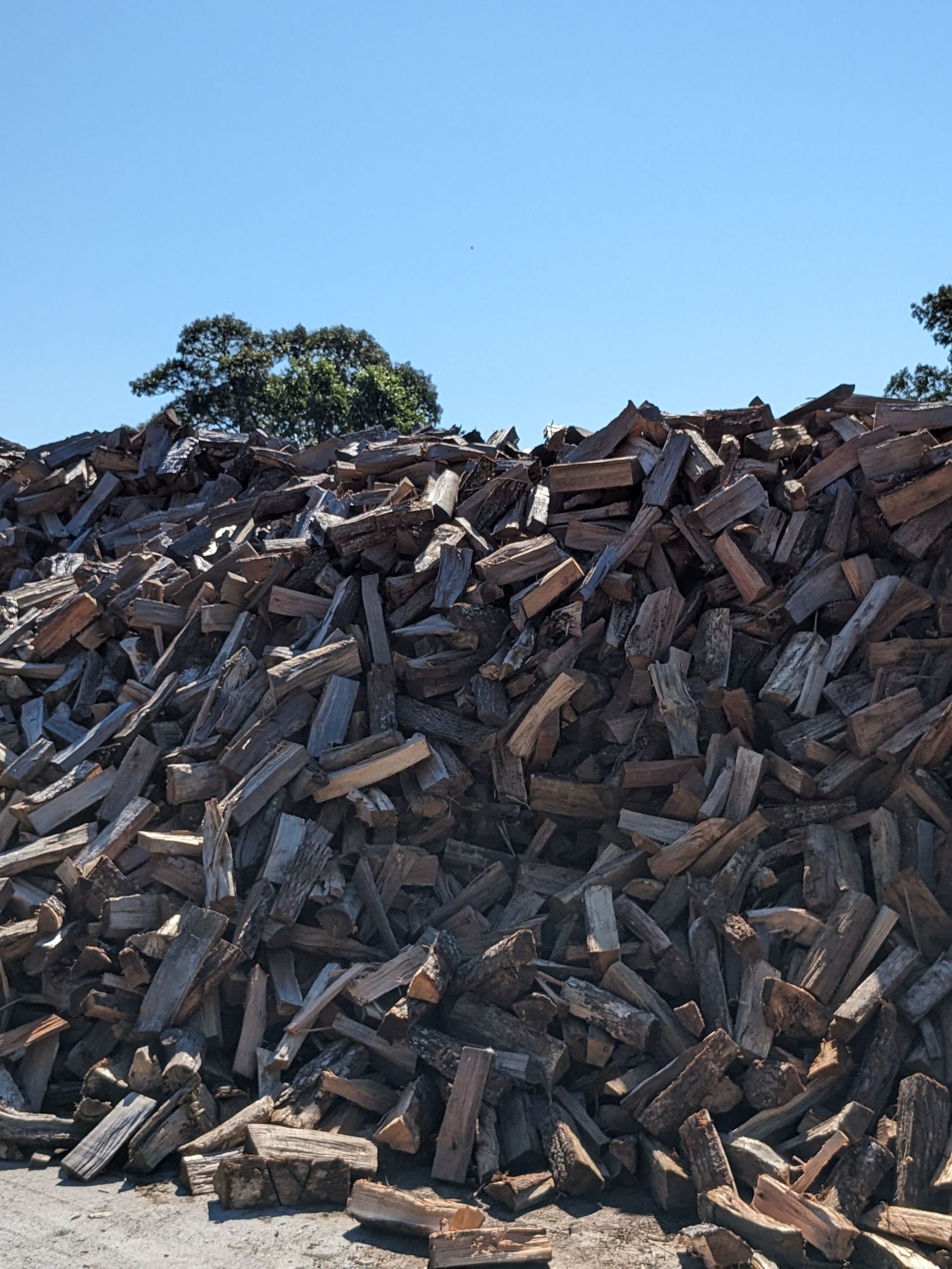 Pile of Firewood