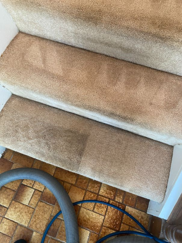 Carpeted stairs with visible dirt and stains; vacuum hose visible on the tiled floor.