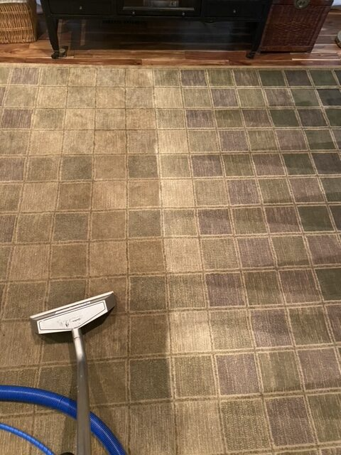 Carpet being cleaned with a cleaning tool, revealing a clean strip.