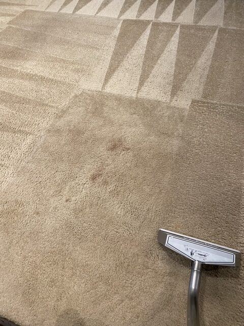 Beige carpet being cleaned with a carpet cleaner; visible stain in the center.