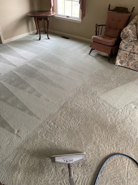Carpet cleaning in a room with furniture; a cleaning tool is in the foreground.