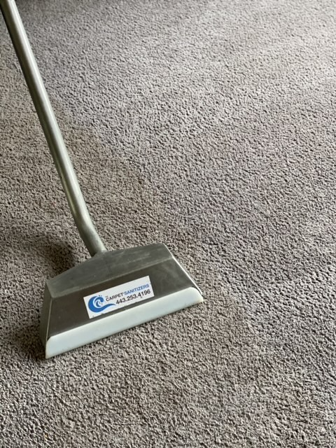 Carpet cleaner head on gray carpet.