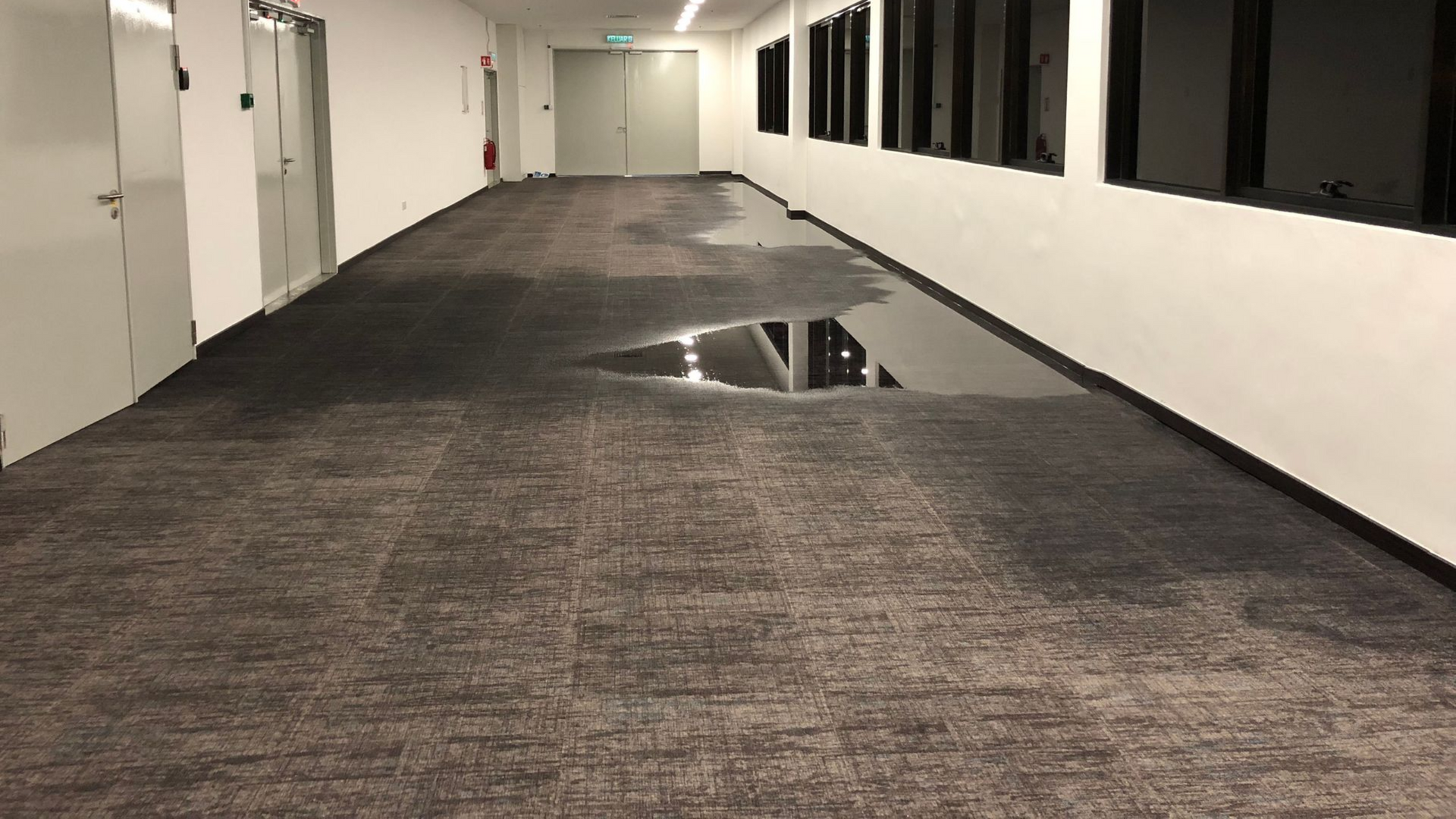 Flooded office hallway with black carpet and reflective water. White walls, doors, and windows.
