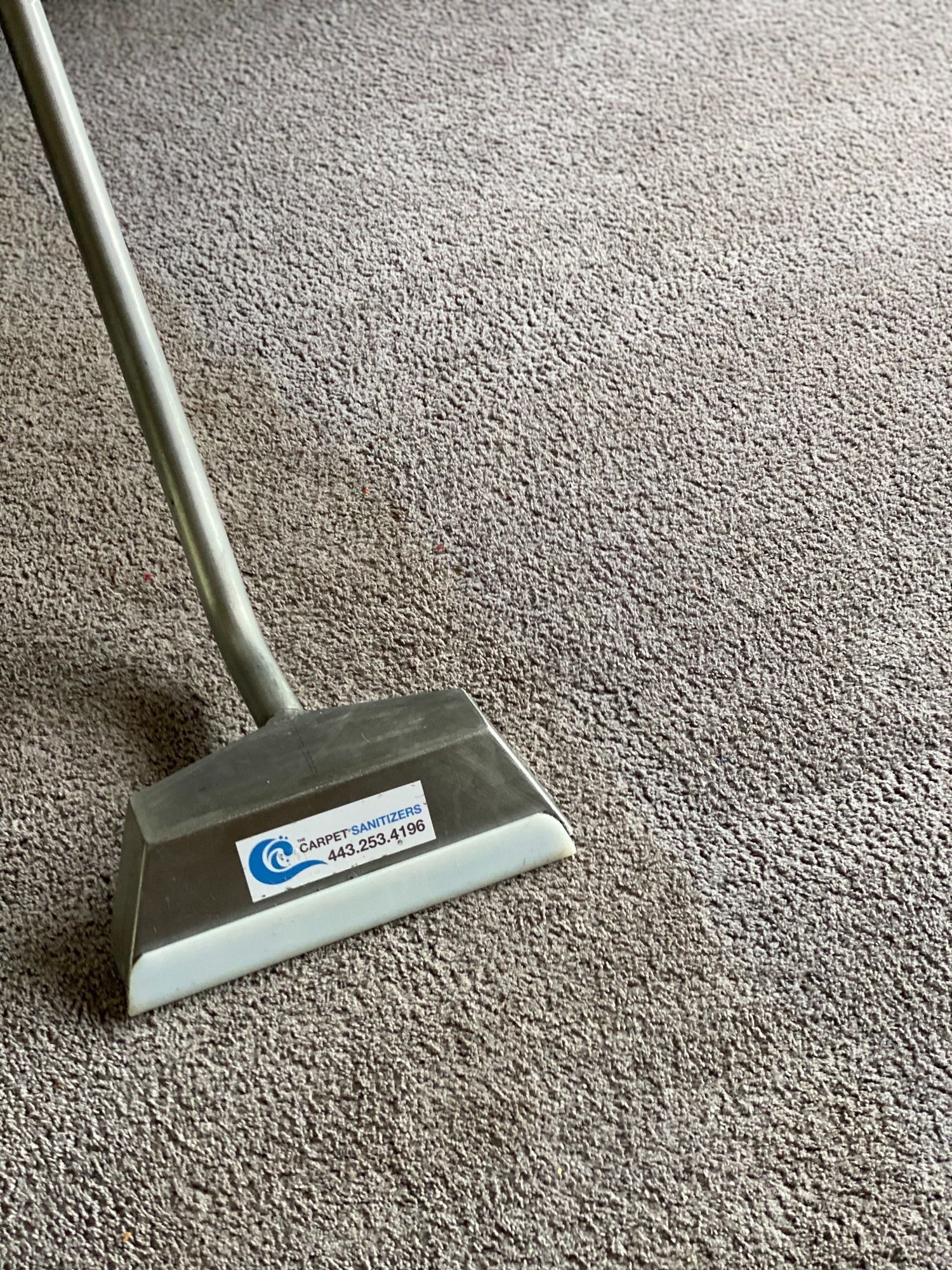 Carpet cleaning tool on textured, gray carpet.