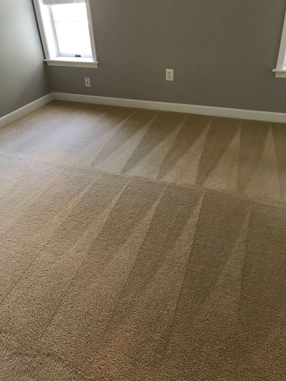Clean, tan carpet with visible vacuum lines, in a room with gray walls and a window.