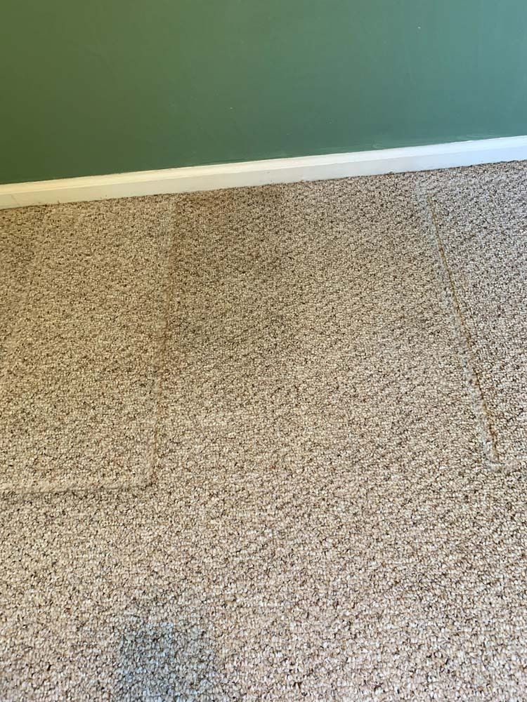 Tan carpet against a green wall and white baseboard.