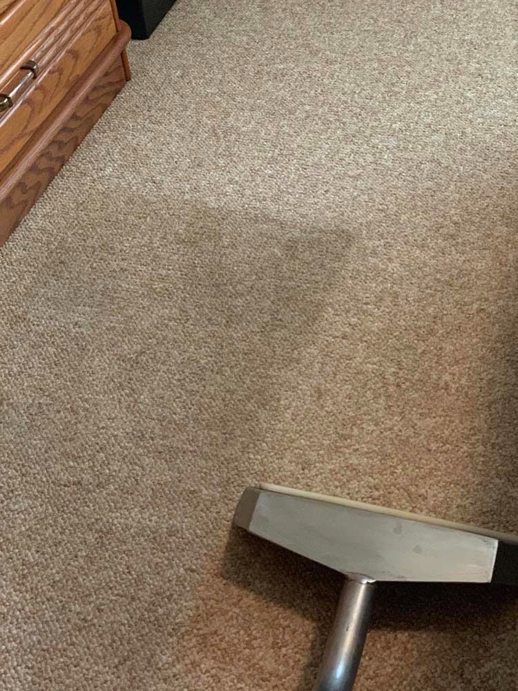 Carpet being cleaned with a steam cleaner; beige carpet, silver cleaning head.