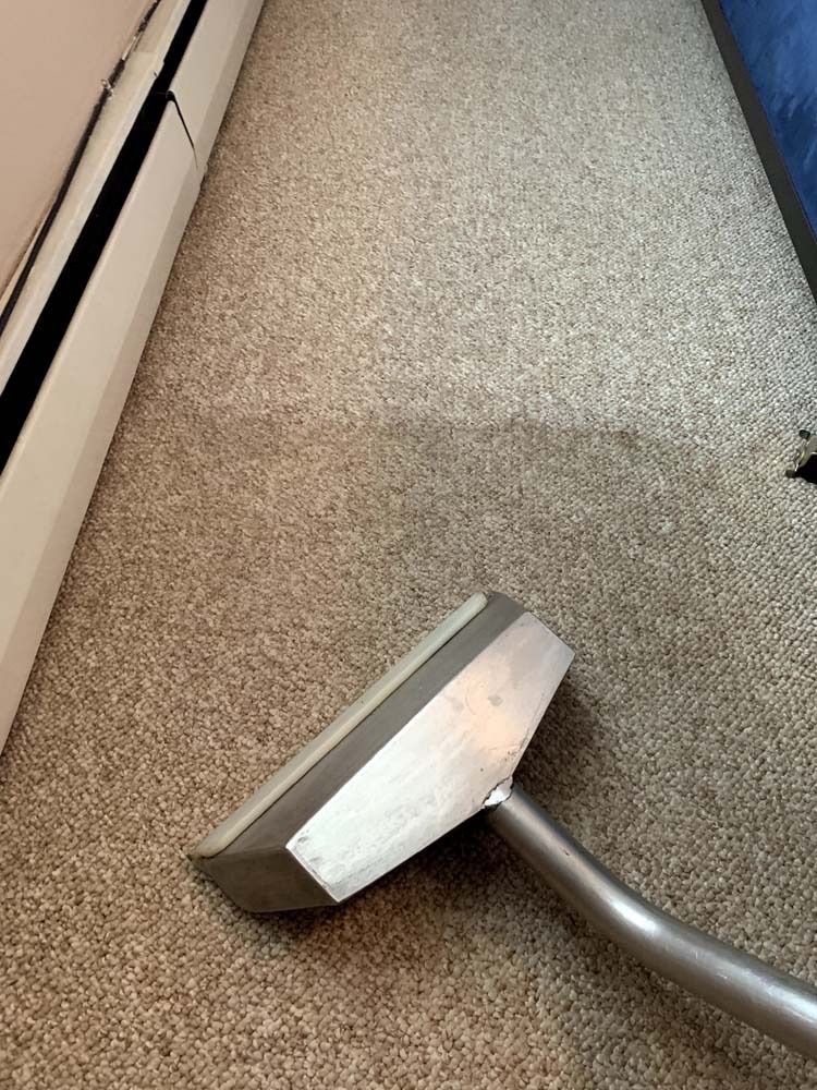 Carpet being cleaned with a cleaning tool, showing a clear difference between cleaned and uncleaned areas.