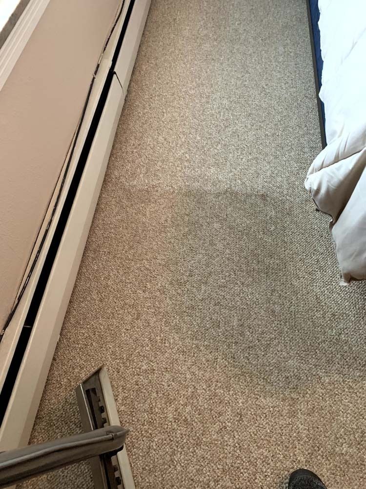 Carpeted room being cleaned with a carpet cleaner. Beige carpet next to a wall with a baseboard heater and a bed.