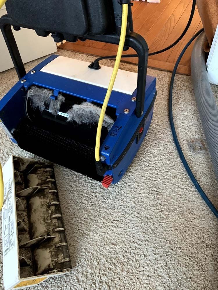 Blue carpet cleaner with a roller brush, on a carpet, and near an electrical outlet and hose.