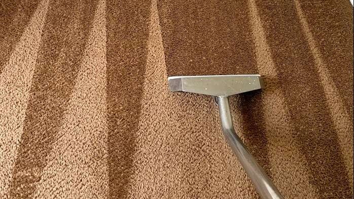 The Carpet Sanitizers Inc