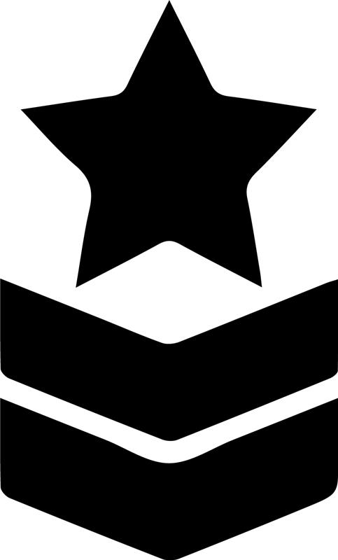 The Carpet Sanitizers Inc