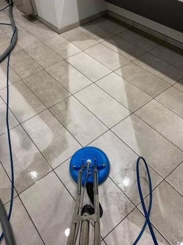 The Carpet Sanitizers Inc