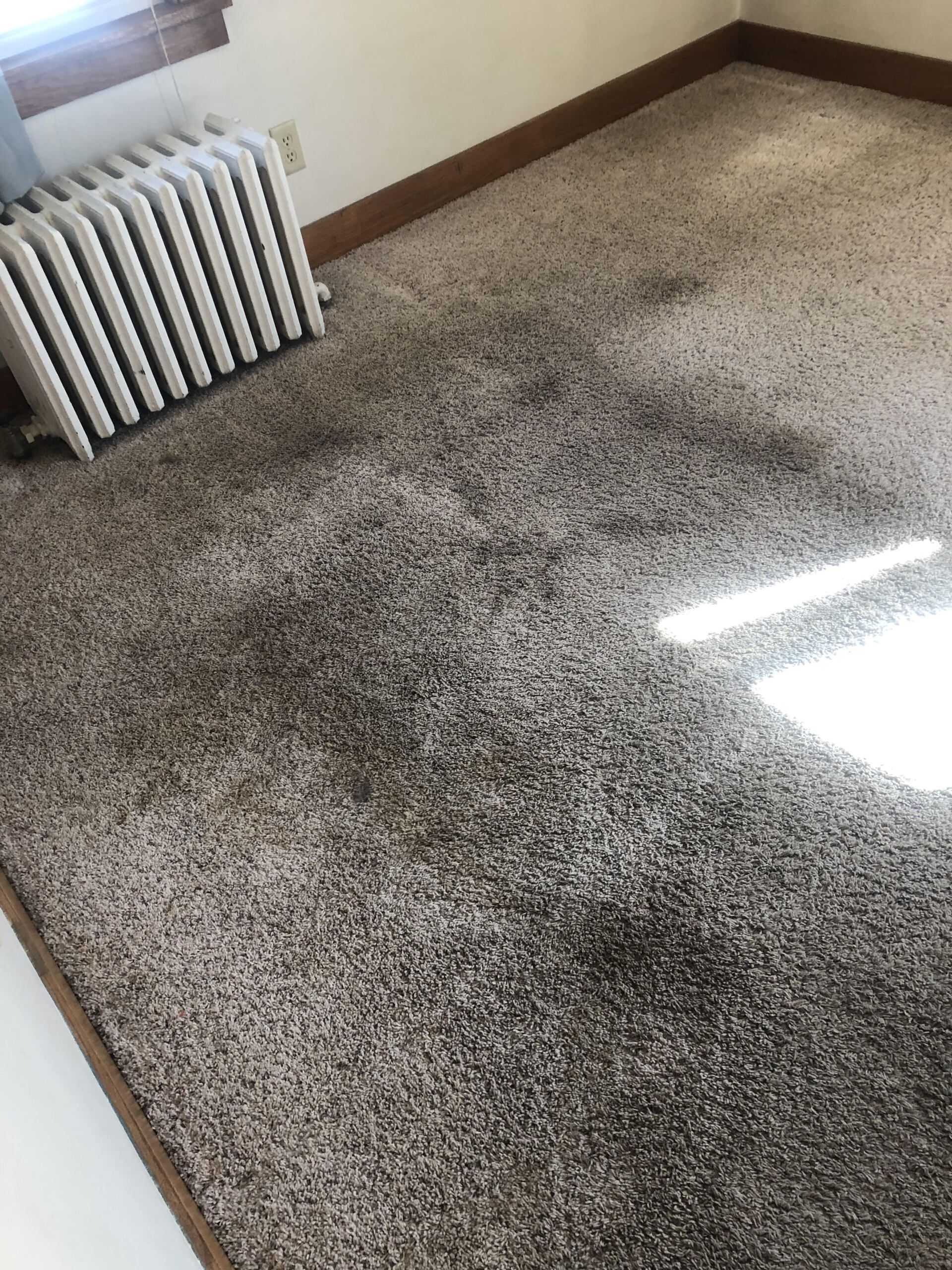 Dirty Carpet