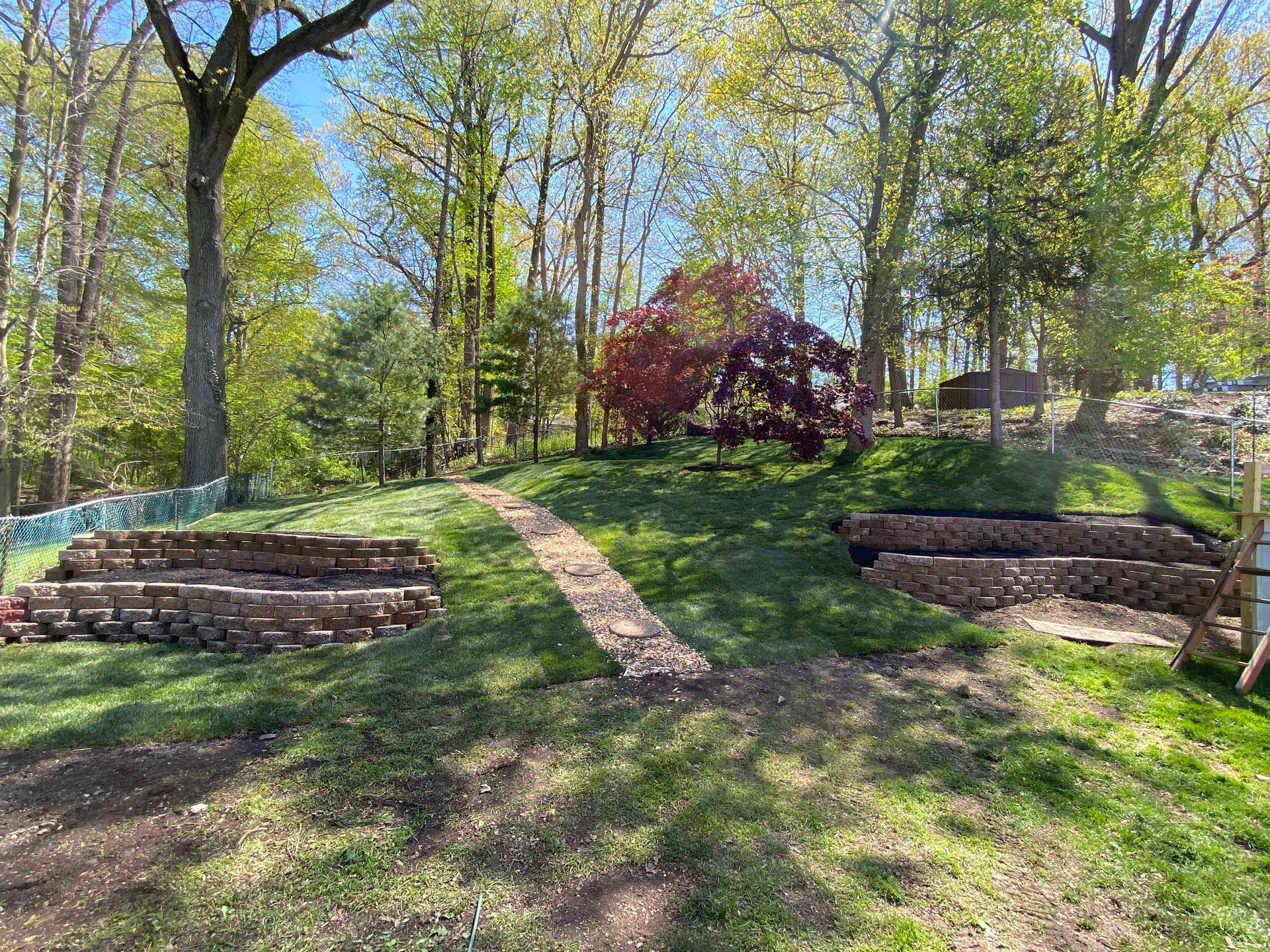 A lush green park with trees and a path going through it.