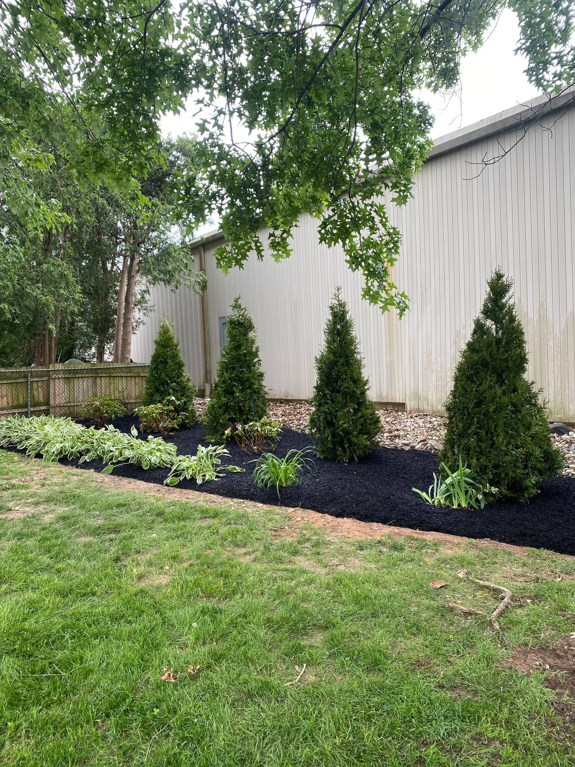 A row of trees in a yard next to a building.