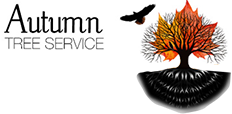 Autumn Tree Service - Logo