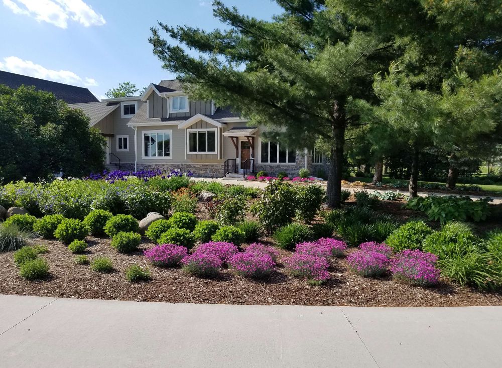 A large house with purple flowers in front of it