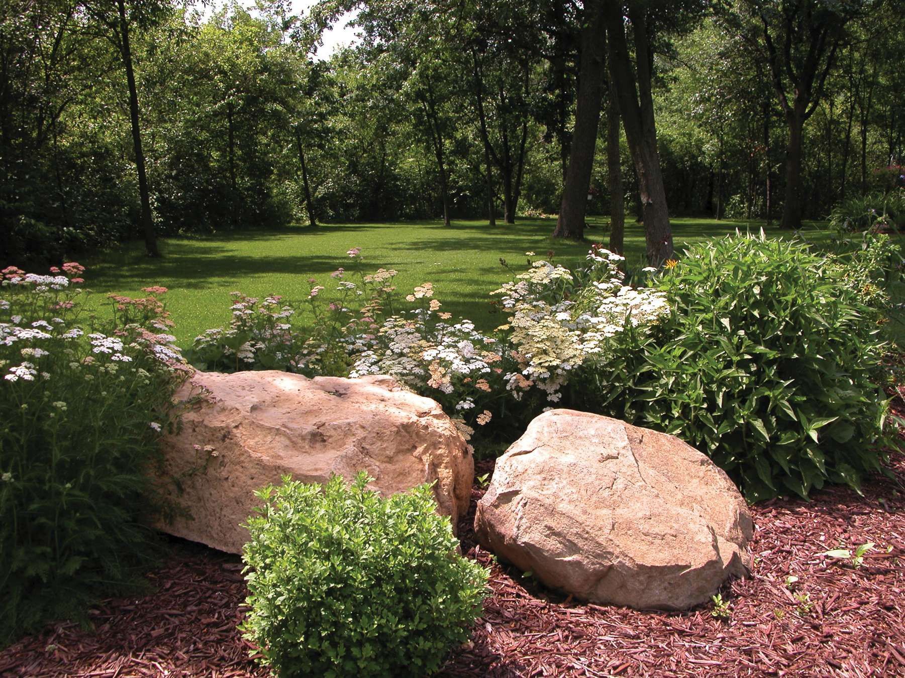 There are many different types of flowers in this garden.