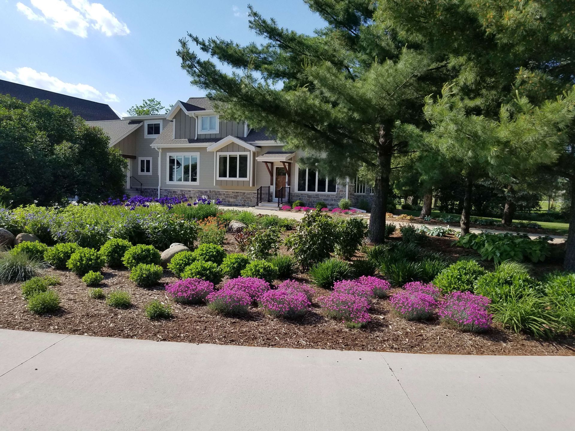 A house with purple flowers in front of it