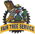 Tree Service Holmdel NJ