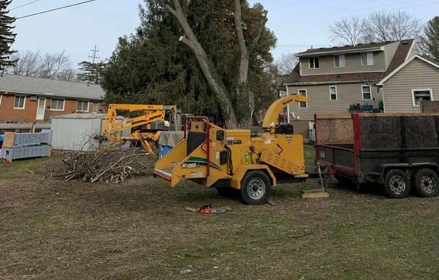 Yellow wood chipper and trailer next to cut tree limbs in a yard, with buildings in the background.