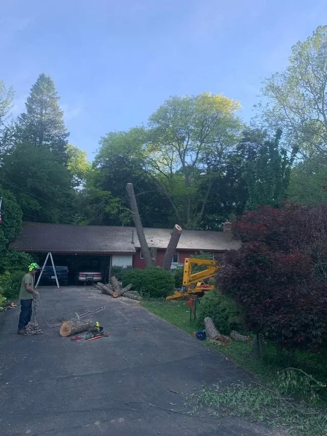 Tree removal at a house. A worker cuts a tree. A yellow machine is present. Green trees and blue sky.