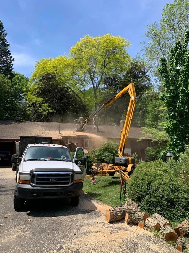 Yellow excavator removing branches from a tree near a brown roof. White truck in the foreground.