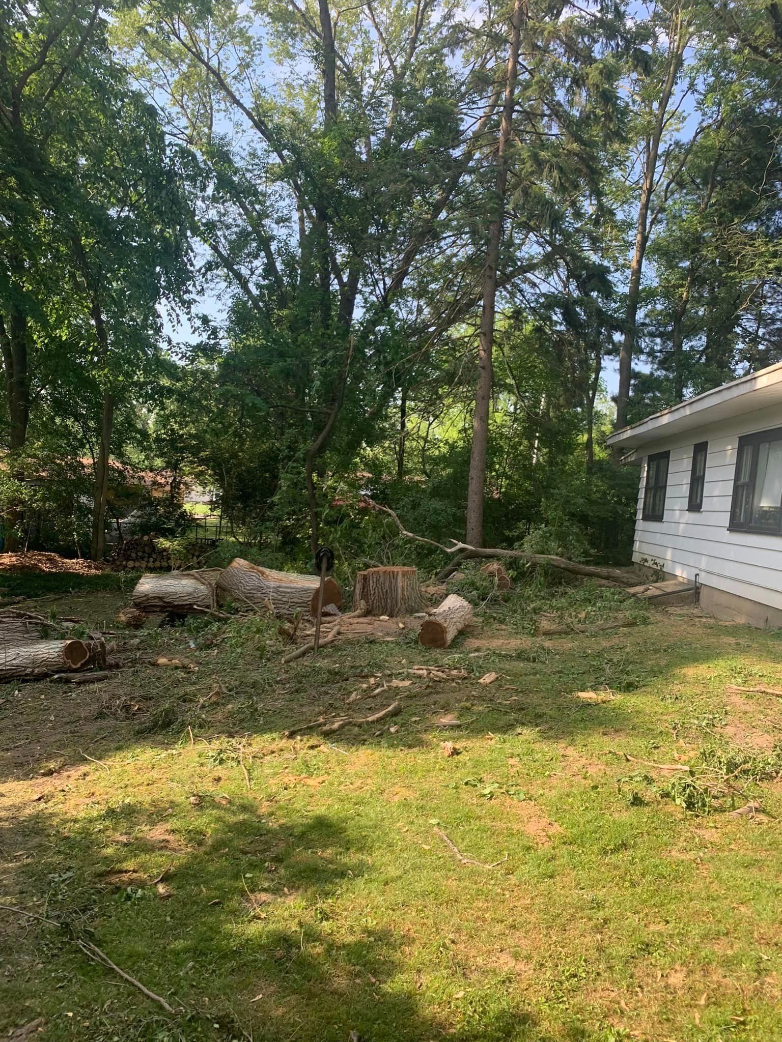 Logs and tree stumps in a yard near a white house, surrounded by trees and green grass.