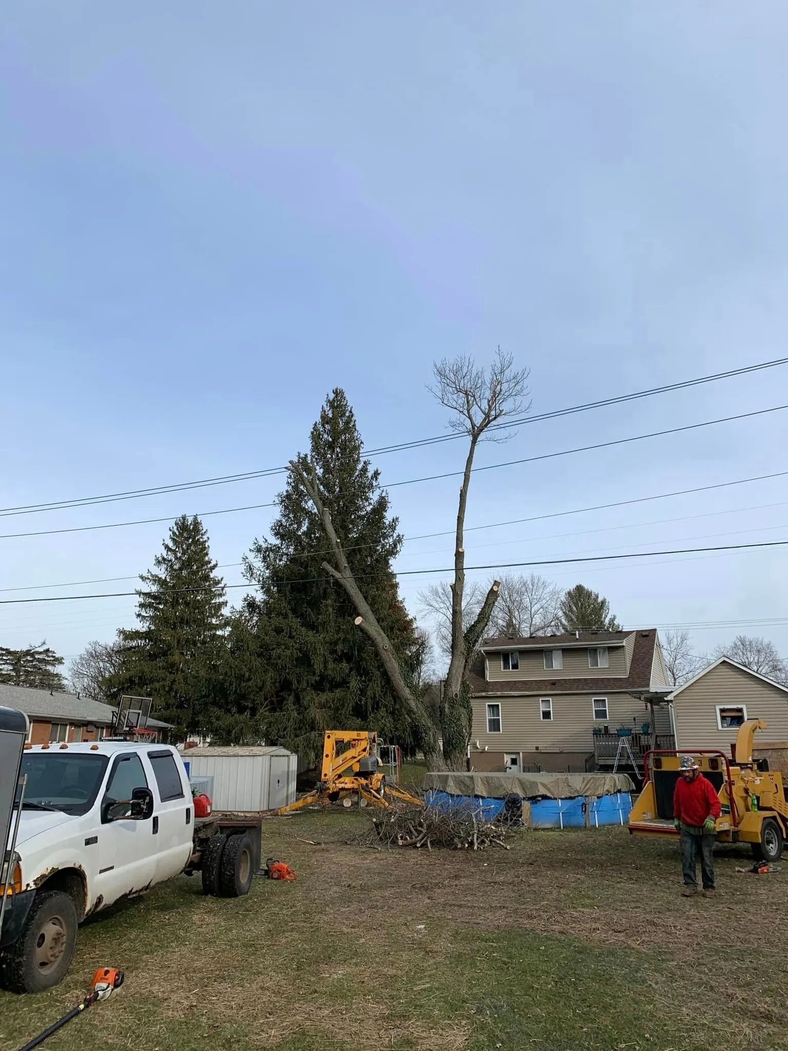 Tree removal crew with trucks, equipment, and a partially cut-down tree in a residential area.