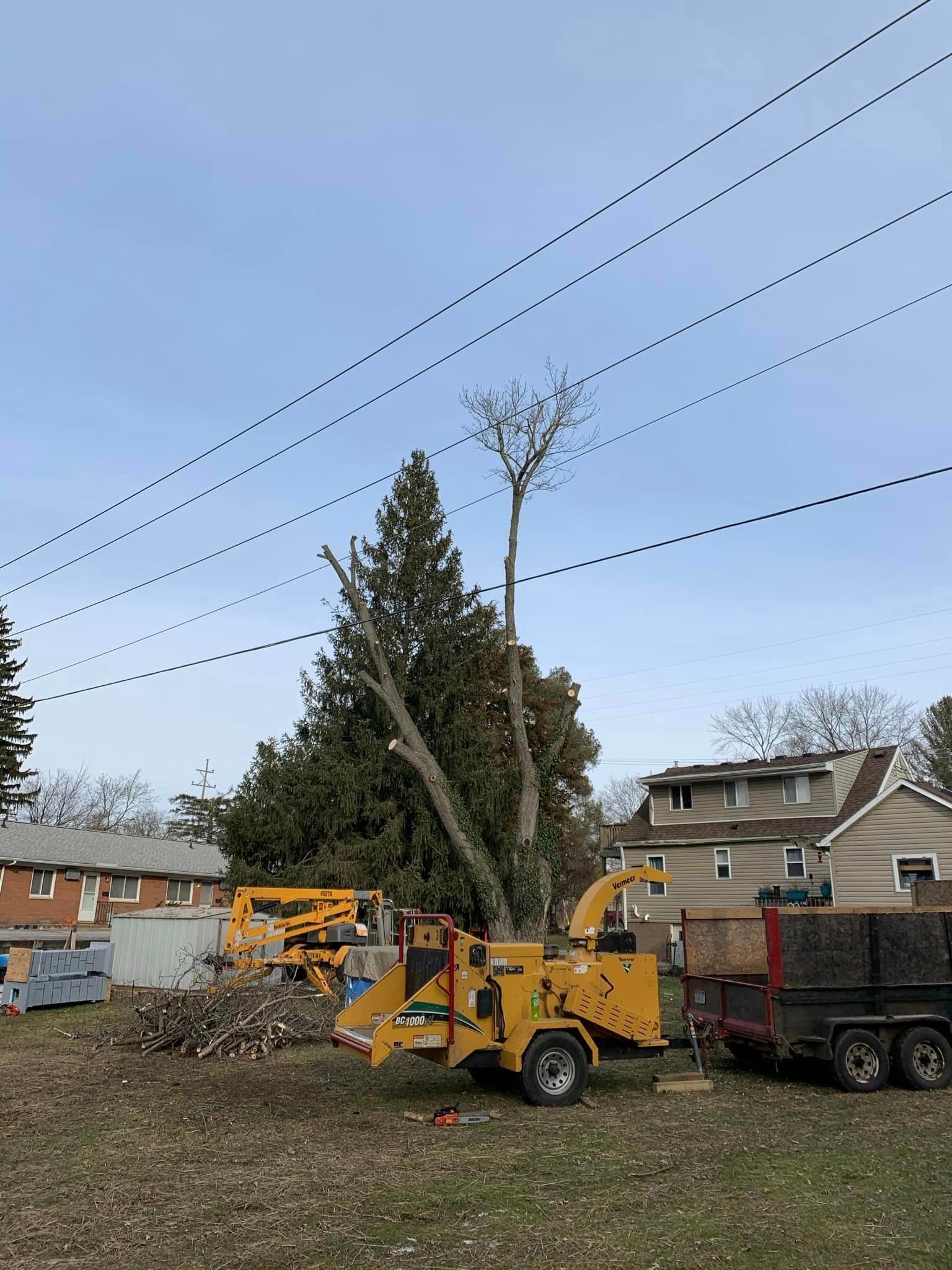 Tree removal in progress: yellow wood chipper, pruned tree, power lines, residential setting.