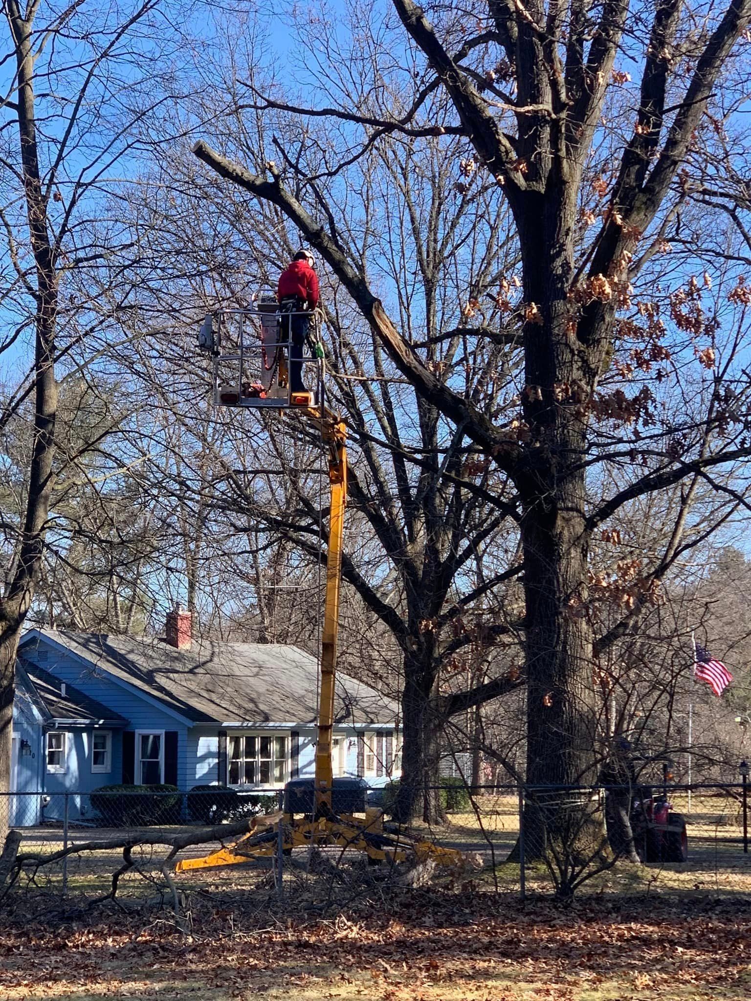 A person in a lift trimming branches from a tall tree near a blue house on a sunny day.