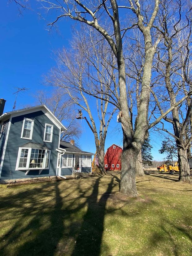 Blue house with white trim, red barn, trees casting shadows on grass under a clear blue sky.