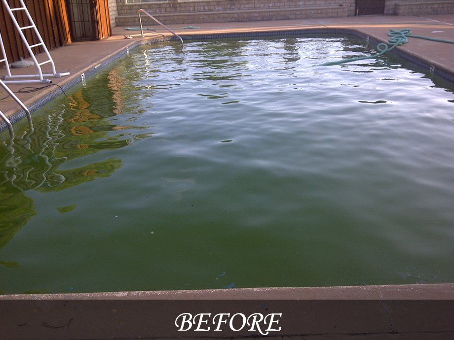 Commercial pools cleaning